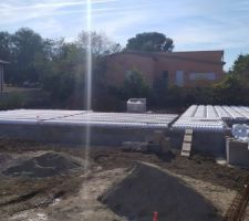 Vide sanitaire