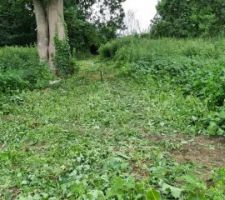 2 m&egrave;tres d'orties sur la totalit&eacute; de la parcelle et plein de cadeau dans la terre ... (clous, briques, grillages, tuyaux, baches...)