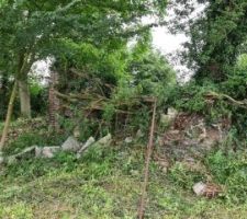 La ruine au bout du jardin, apparemment un ancien moulin tomb&eacute; depuis 50 ans, sur lequel &agrave; 2 m&egrave;tres du sol, un arbre &agrave; pouss&eacute; ...