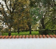 D&eacute;couverte du terrain => il ne nous a pas fallu 10 secondes pour savoir que ce serait L&Agrave; !