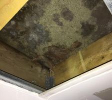 Plancher bois OSB trempé et moisi
