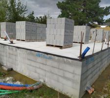 Traitement anti-termite