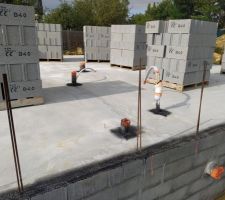 Traitement anti-termite