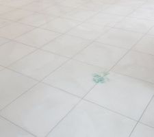 Carrelage pièce principale