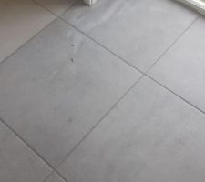 Carrelage MP du cellier