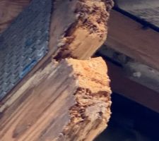 Charpente fermette où l?on voit des traces des auréole et surtout un bout de charpente  abîmé