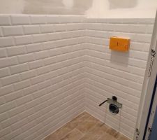 Fa&iuml;ence m&eacute;tro WC