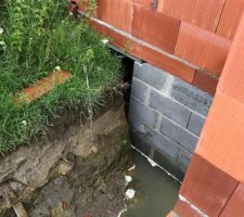 Vide sanitaire non accessible et beaucoup de déchets