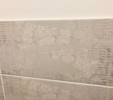 Faïence des WC de l'étage