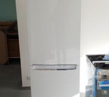 Frigo