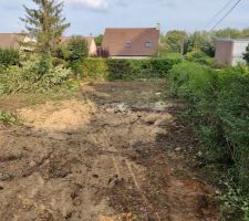 D&eacute;but du nettoyage du terrain: coupe des arbres et des broussailles... &Ccedil;a commence !