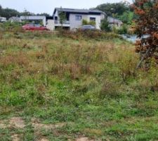 Pose des piquets délimitant les limites de la maison, ça avance.