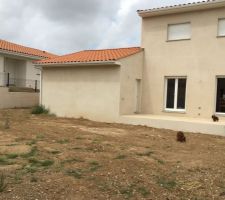 Malfaçons Façades Constructeur Maisons Vertes