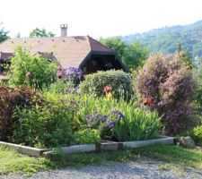 Entre talus et garage, 2 tables de végétaux. Les ancolies se ressèment. L`arbuste rose, au sommet du talus, est un indigotier de l'Himalaya que les abeilles adorent