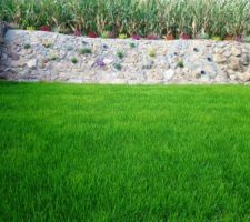 Gazon en rouleau une semaine apr&egrave;s la premi&egrave;re tonte et le talus quasiment termin&eacute;