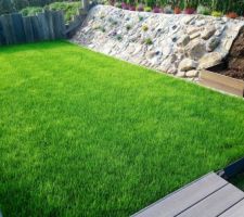 Gazon en rouleau , une semaine apr&egrave;s la premi&egrave;re tonte et talus quasiment termin&eacute;