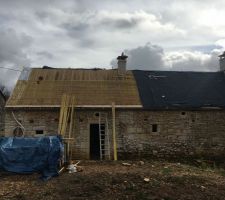 Lattage façade arrière