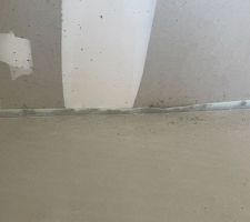 Moisissures