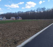 1ere photo du terrain !