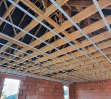 Début de création du faux plafond du 1er