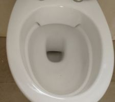 WC sans bride