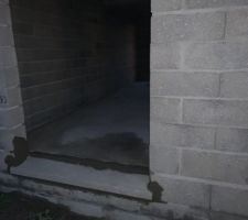 Surprise appui de fenetre