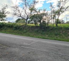 Terrain avant la création du chemin d'accès