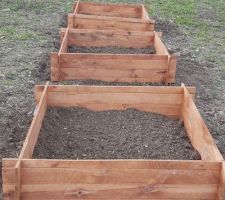 Préparation des futurs carrés potager