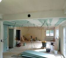 Pose des placo et de l'osb au sol