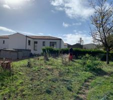 Vue vers le Sud, fin octobre (suite) : et voilà, le derniercèdre est tombé, laissant la vue dégagée sur... un silo, au loin, et sur la maison construite à l'angle Sud-Est de notre terrain. Une clôture grillagée doublée d'une haie champêtre garantiront la sécurité de notre toutou et l'intimité de chacun, tout en préservant la biodiversité, hélas mise à mal par ces coupes d'arbres de haute tige...