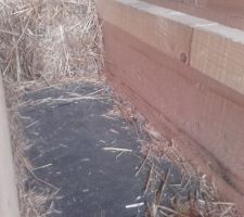 "Chevron" 8 X 10 : reprise de la hauteur des bottes de paille