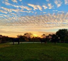 Levé de soleil sur les voisins