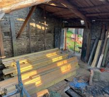 Le bois qui attend sagement