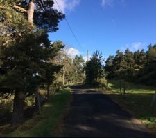 Chemin d'accès