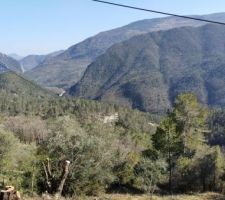 Vue depuis le haut du terrain