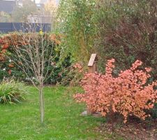 Automne, on fête les 8 ans du jardin.