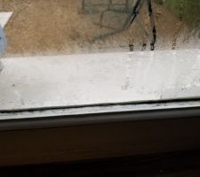 Buée persistante sur toutes les fenetres de la maison