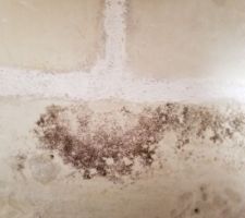 Mur refait il y a un mois et deja attaqu&eacute; par des champignons gris ou noir&acirc;tres