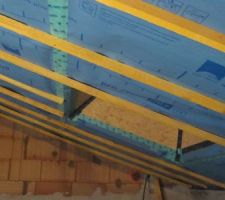 Liteaux et habillage Velux

Pose du frein vapeur, 3 fonctions :
- frein vapeur
- support isolation ouate
- membrane pour l'étanchéité à l'air