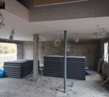 Plaques de plaques plafond rdc