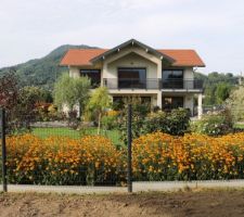 Nouvelles touffes de rudbeckias rajoutées en mars, puis le jardin et la maison, c'est la vue qu'auront nos nouveaux voisins depuis chez eux