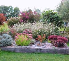 Santoline grise, sedums, euphorbe, derrière gauras, lagerstroemias et mahonia, des fleurs de septembre octobre