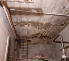 Sinistre découvert lors d'une visite pour prise de cote. Dalle béton au dessus de la cuve, sous l'escalier et porche d'accès extérieur.
Seul endroit de la maison détérioré de cette façon.