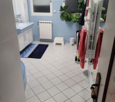 Finalisation de la salle de bain ce week-end avec une peinture v33 spéciale faïence.