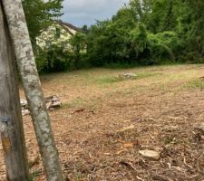 Terrain d&eacute;bois&eacute;