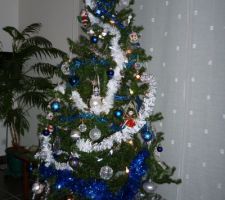 Sapin de Noël 2010