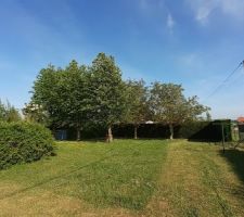 Photo du terrain