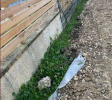 Chemin d'accès même pas décaissé de sa terre végétale...