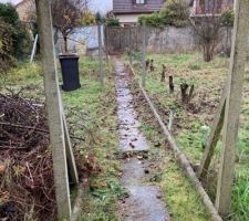 Chemin du jardin à retirer et pommiers à cidre coupés