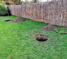 Les taupes sont arrivées dans le jardin !